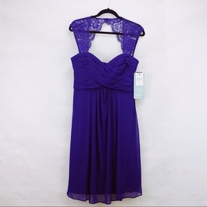 🆕Scarlett Blue/Bella Holiday Dress Size 12